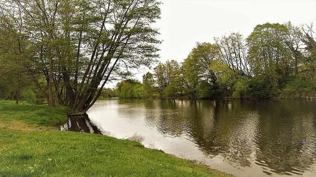 Joli Petit T4 Confortable Au Bord De Leau Vieille-Brioude Zewnętrze zdjęcie